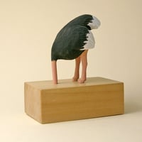 Image 1 of Coronavirus ostrich