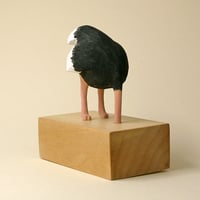 Image 2 of Coronavirus ostrich