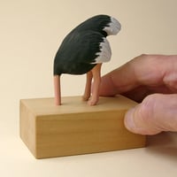 Image 5 of Coronavirus ostrich