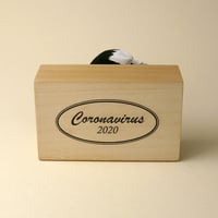 Image 3 of Coronavirus ostrich