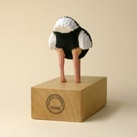 Image 4 of Coronavirus ostrich