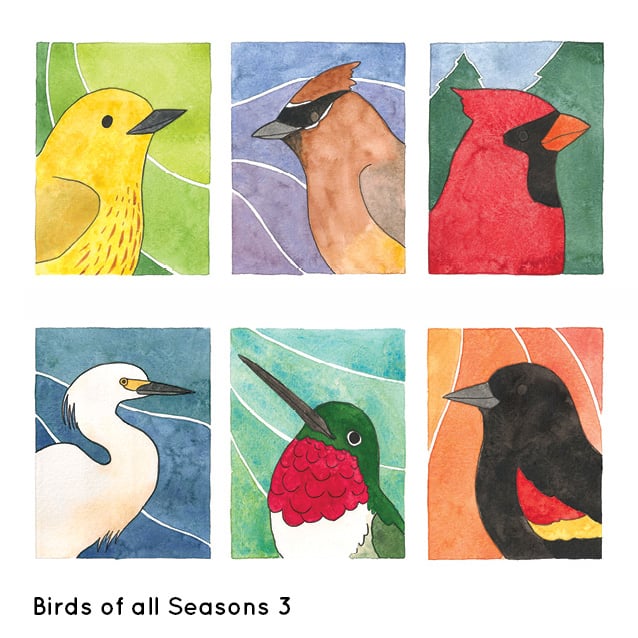 Image of Birds of All Seasons 3 Card Set
