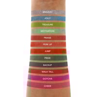 Image 3 of Chin Up Palette