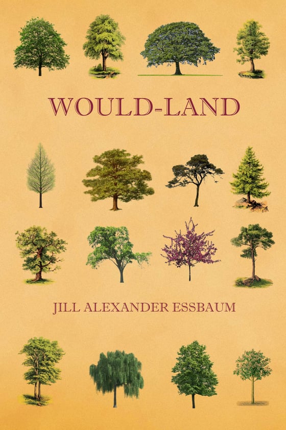 Image of Would-Land by Jill Alexander Essbaum