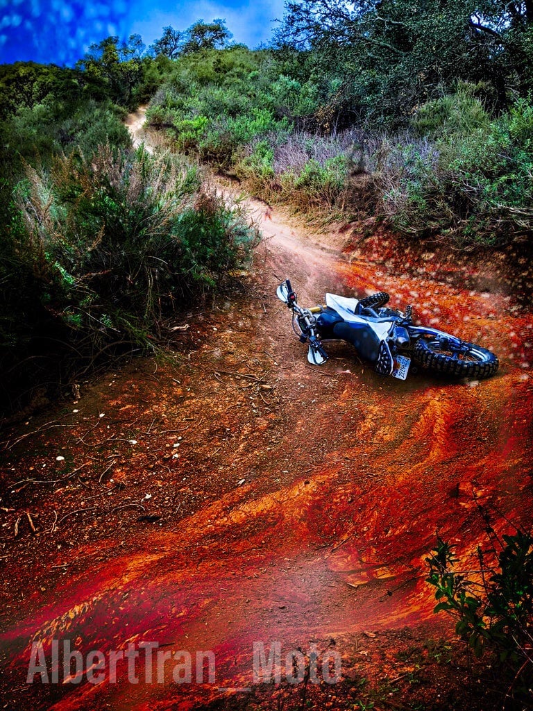 Blood Trail