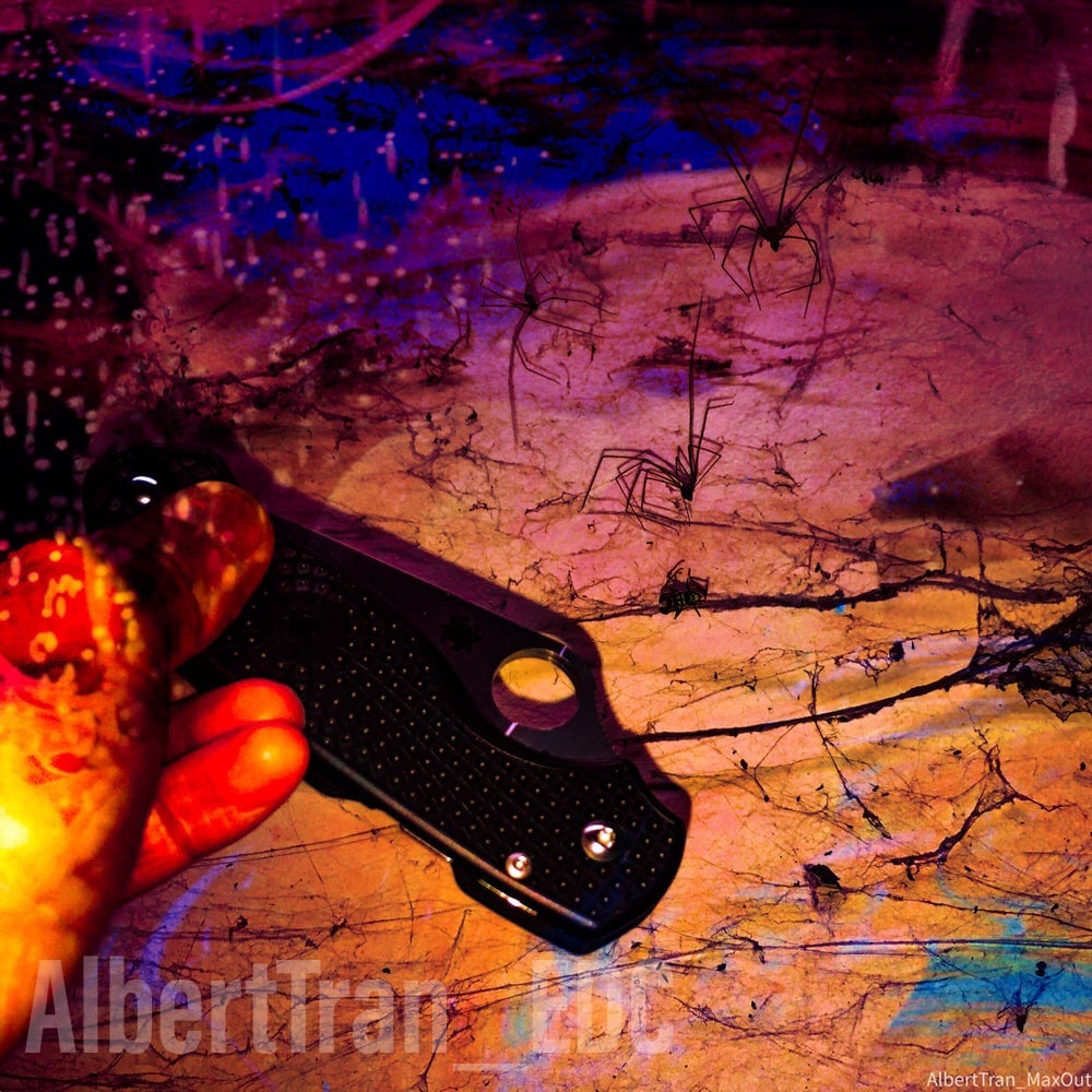 Para 3 LW with 8 Legged Freaks