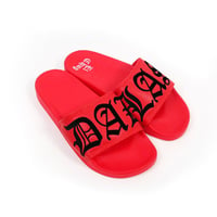 Image 2 of DALLAS BRED SLIDES (NOW SHIPPING)