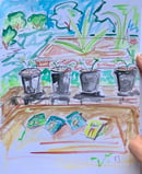 Image 2 of How does your garden grow