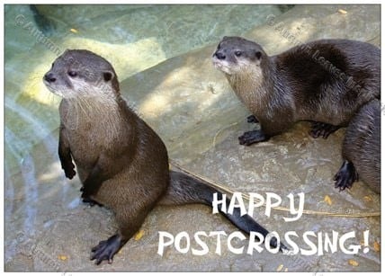 Image of P2 Otters Happy Postcrossing 