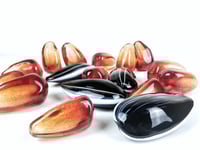 Image 5 of Pomegranate and Sunflower Seed grouping of 9 + 4