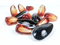 Image 1 of Pomegranate and Sunflower Seed grouping of 9 + 4