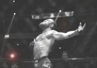 Image 1 of CONOR MCGREGOR Landscape Print