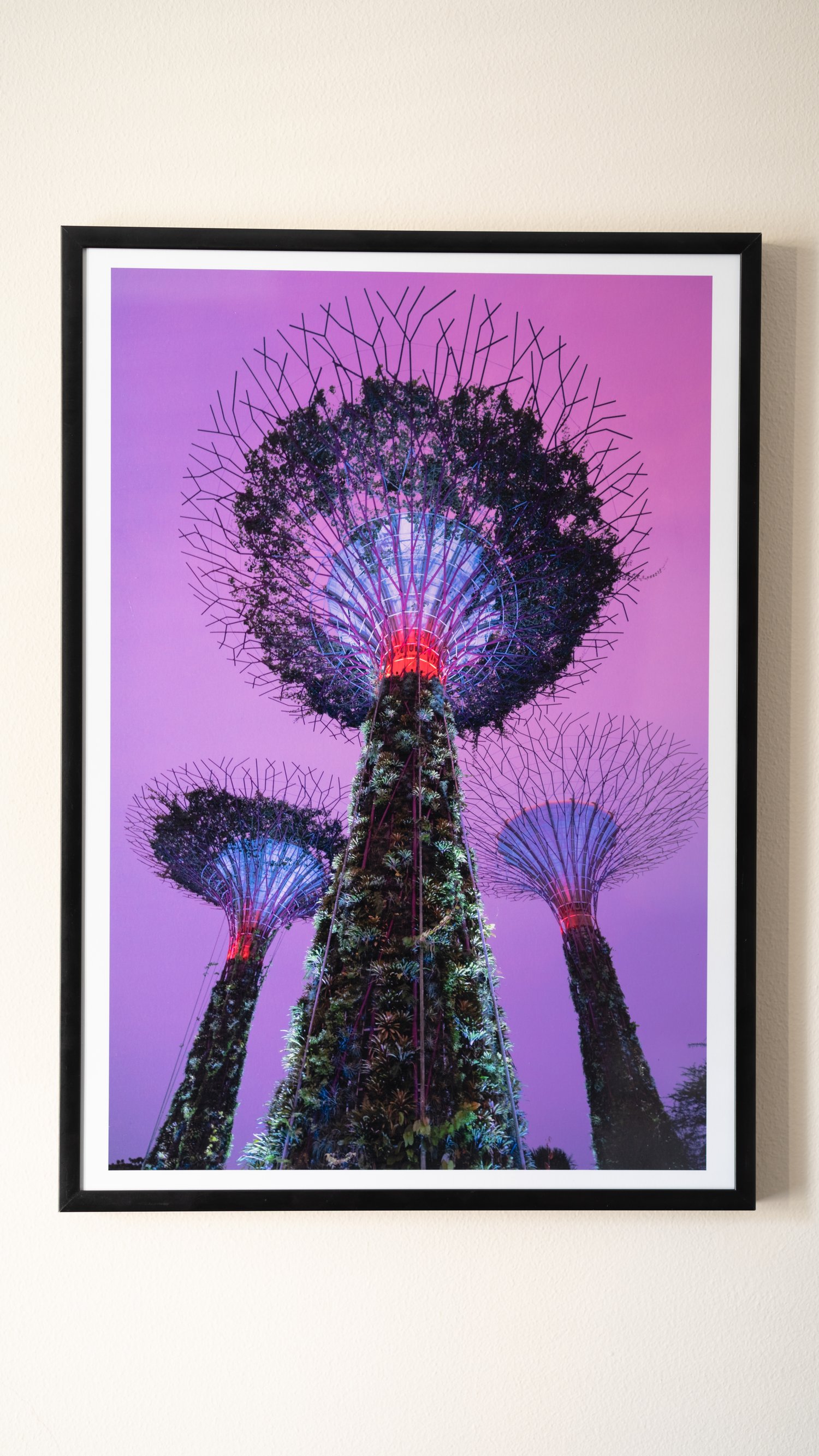 Image of Supertrees Singapore