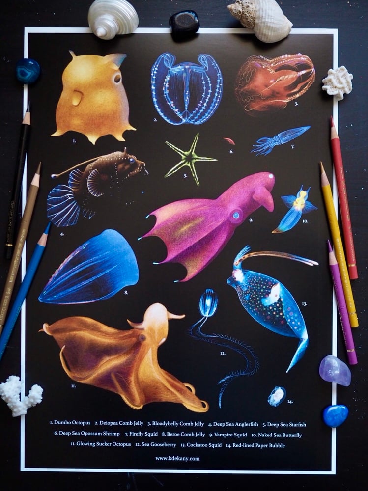 Image of Deep Sea Poster Fine Art Print Extra Heavyweight Matte A3