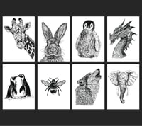 Animal Prints