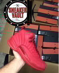 Air Jordan 12s