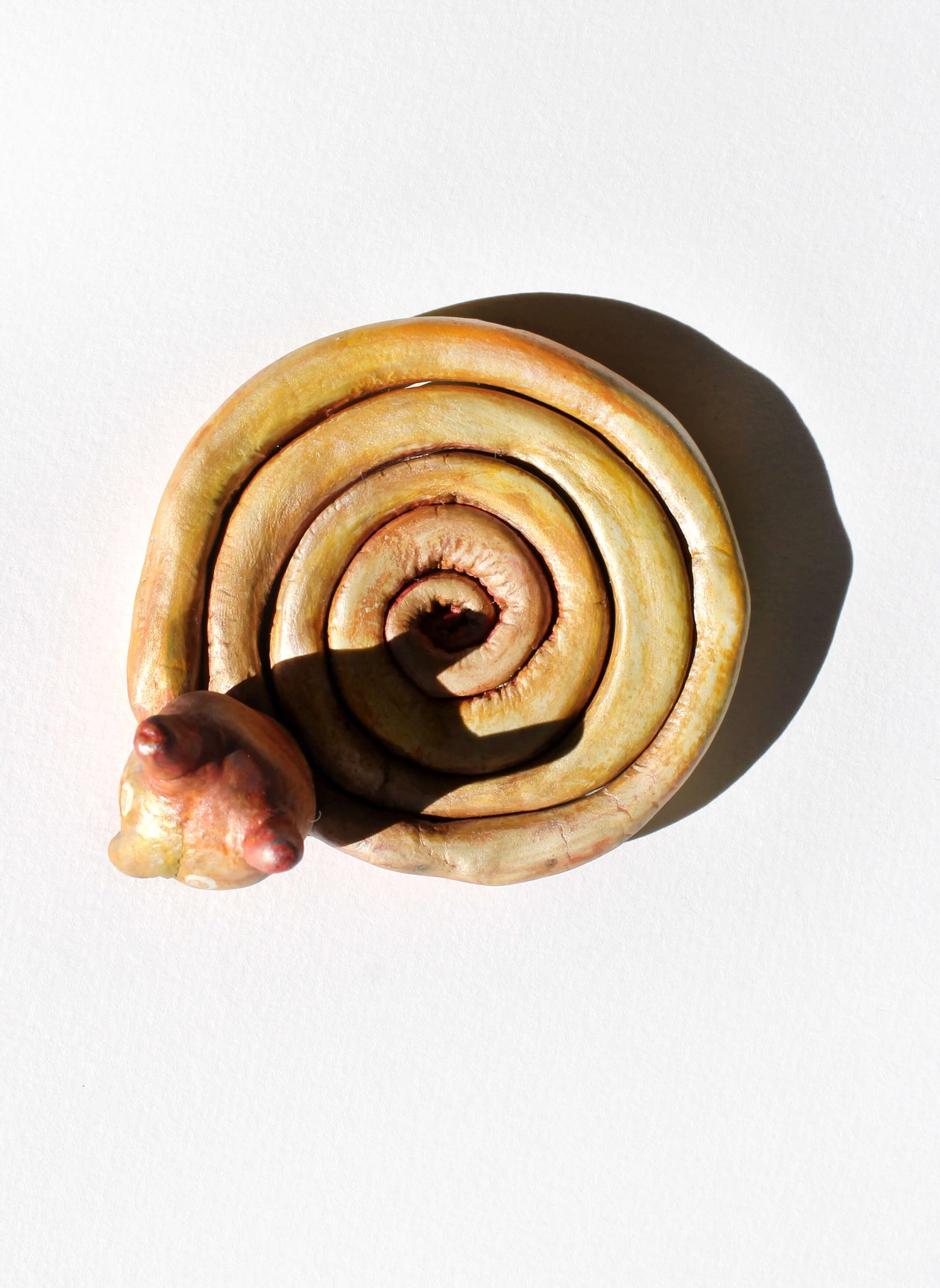 Image of Coaster 'Snail'