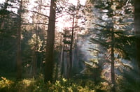 Smoke