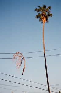 Hanging
