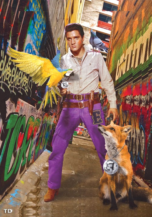 Image of Presley Park (low stock)