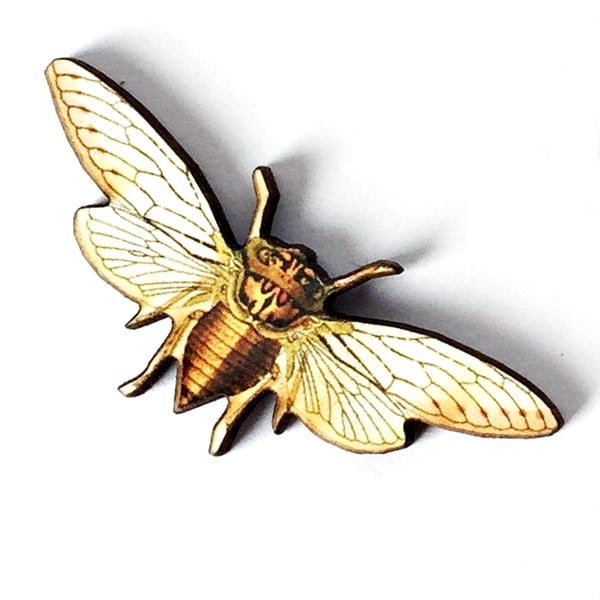 Image of Cicada Illustrated Wooden Brooch Pin 