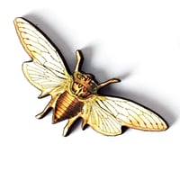Cicada Illustrated Wooden Brooch Pin 