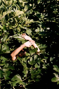Hands