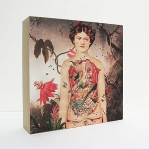 Image of Lámpara anatomía mujer