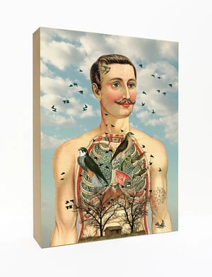 Image of Lámpara anatomía hombre