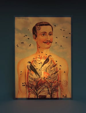 Image of Lámpara anatomía hombre