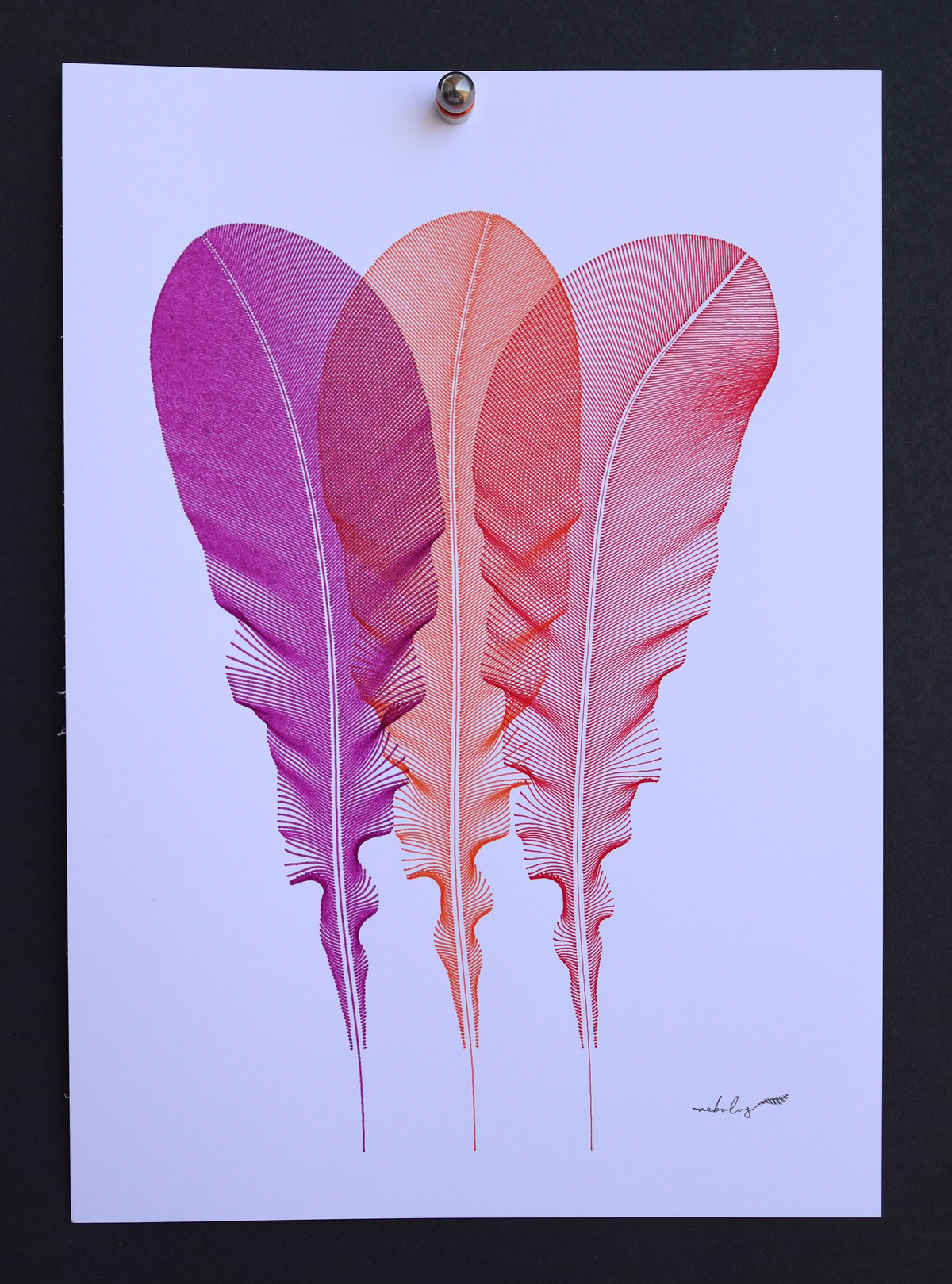 Feathers - Magenta, Orange & Red   200423-01