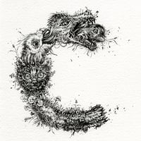 Image 1 of Letter 'C' - Print