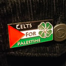 Image 1 of Celts For Palestine