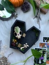 Fern Skull Coffin 