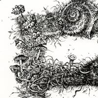 Image 3 of Letter 'F' -Print