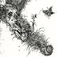 Image 3 of Letter 'K' -  Print