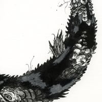 Image 4 of Orla - Print