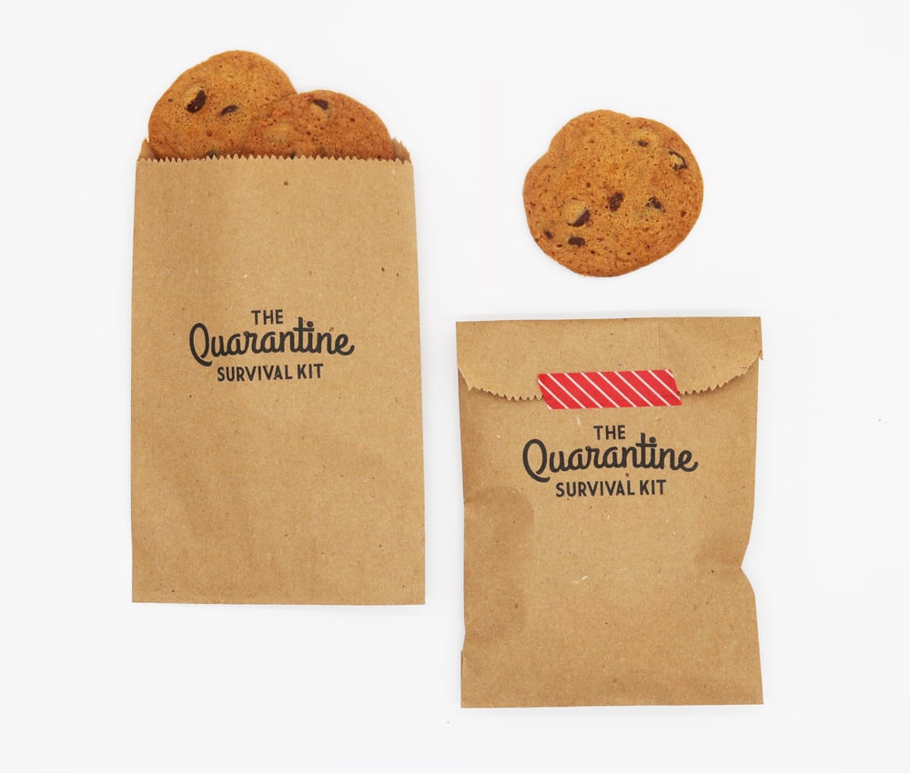 Image of The Quarantine Paper Bag Survival Kit