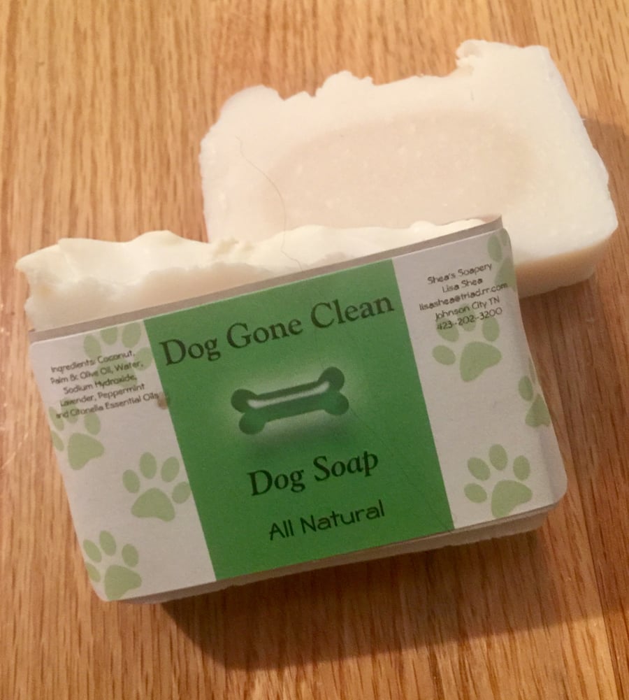 Image of Dog Gone Clean