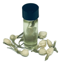 Jasmine Essential Oil For Body and Skin - Balance your solar plexus chakra and attract beauty