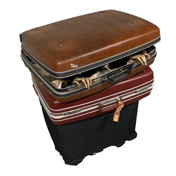 Image of Suitcase Skeleton Jumper