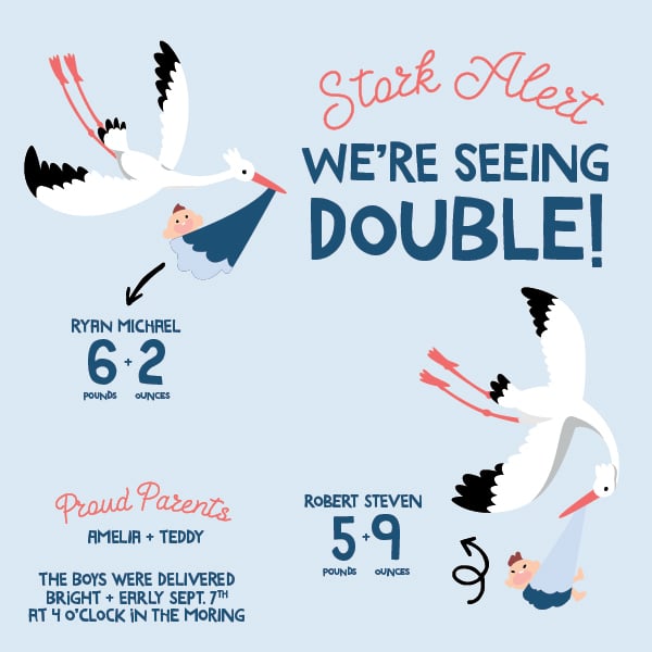 Twin Stork Baby Announcement