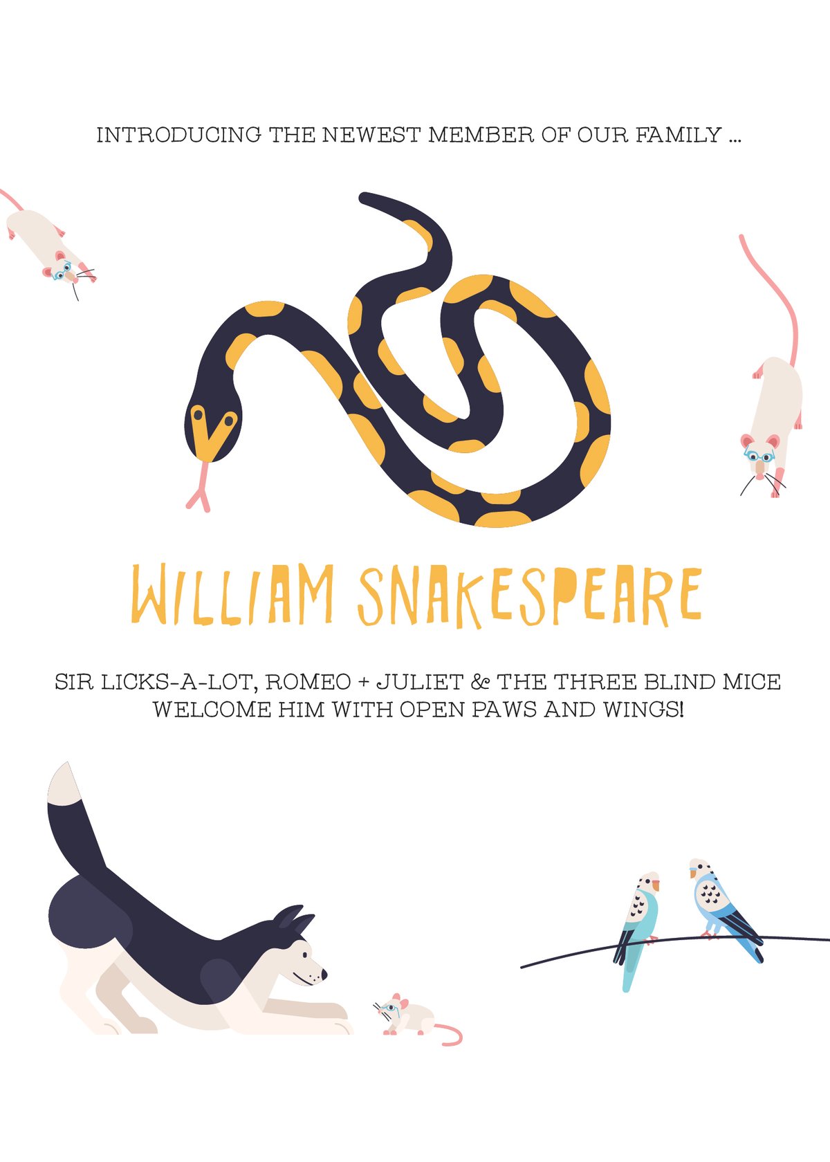 New Animal/Pet Adoption