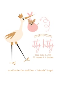 Pet Birthday/Adoption