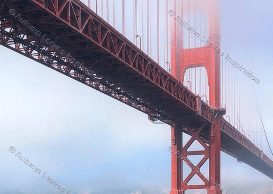 Image of T16 Golden Gate Bridge San Francisco USA