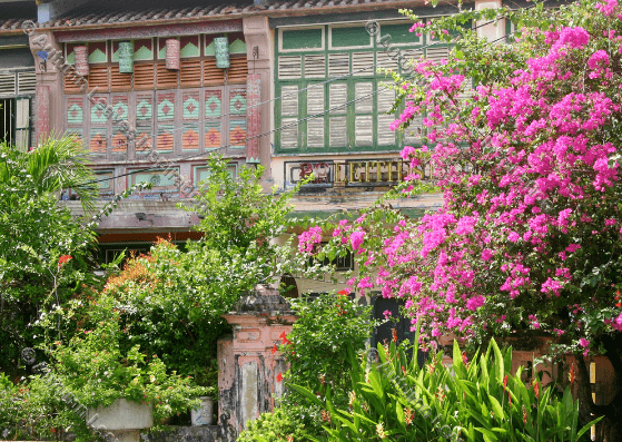 Image of T23 Old Houses Georgetown Malaysia 