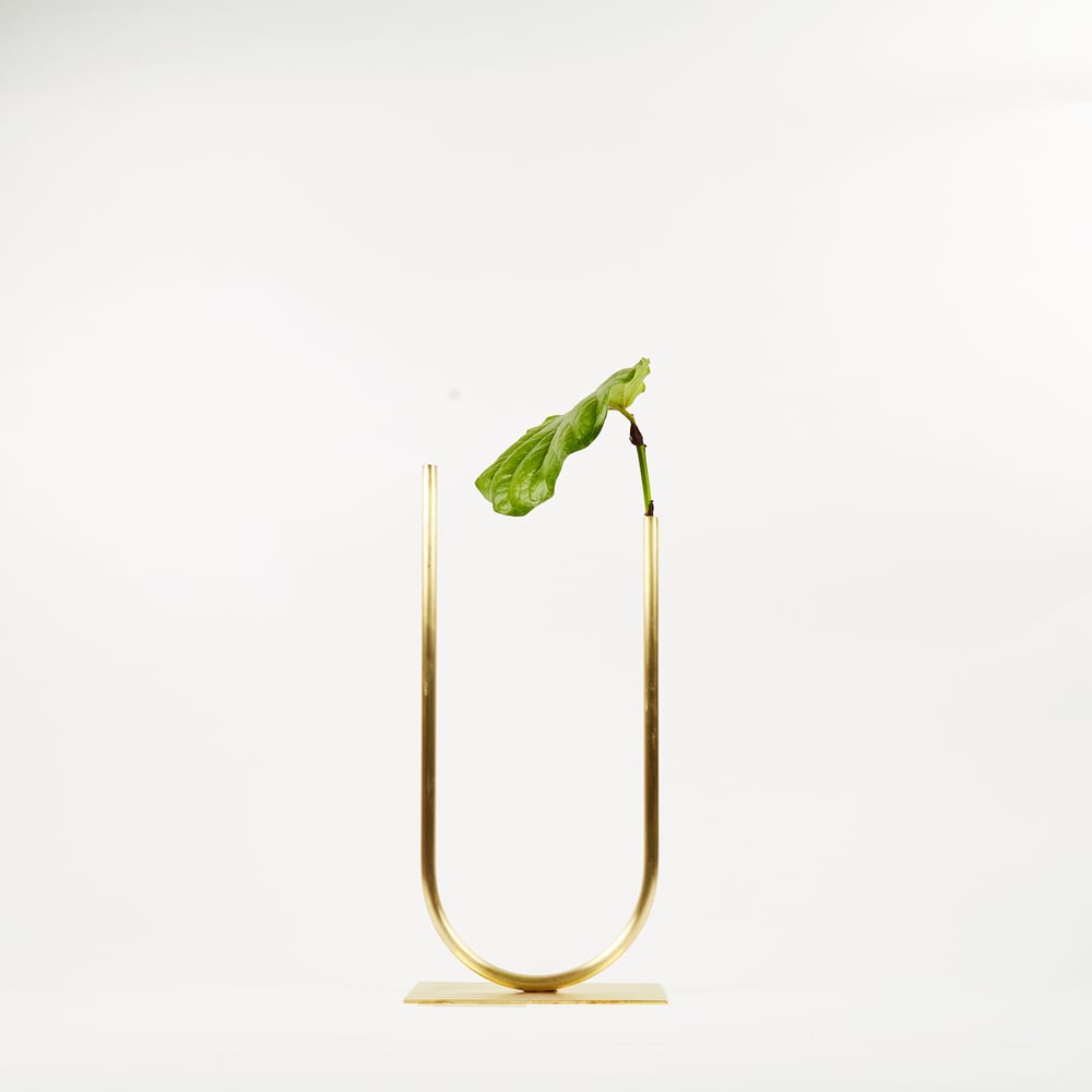 Image of Vase 01222 - Uneven U Vase for Fine/Medium stemmed foliage