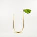 Image of Vase 01225 - Uneven U Vase for Fine/Medium stemmed foliage