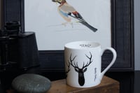 Image 1 of Staggeringly Handsome English Fine Bone China Mug in Black