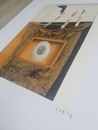 Image 2 of 'Dusting For Prints'